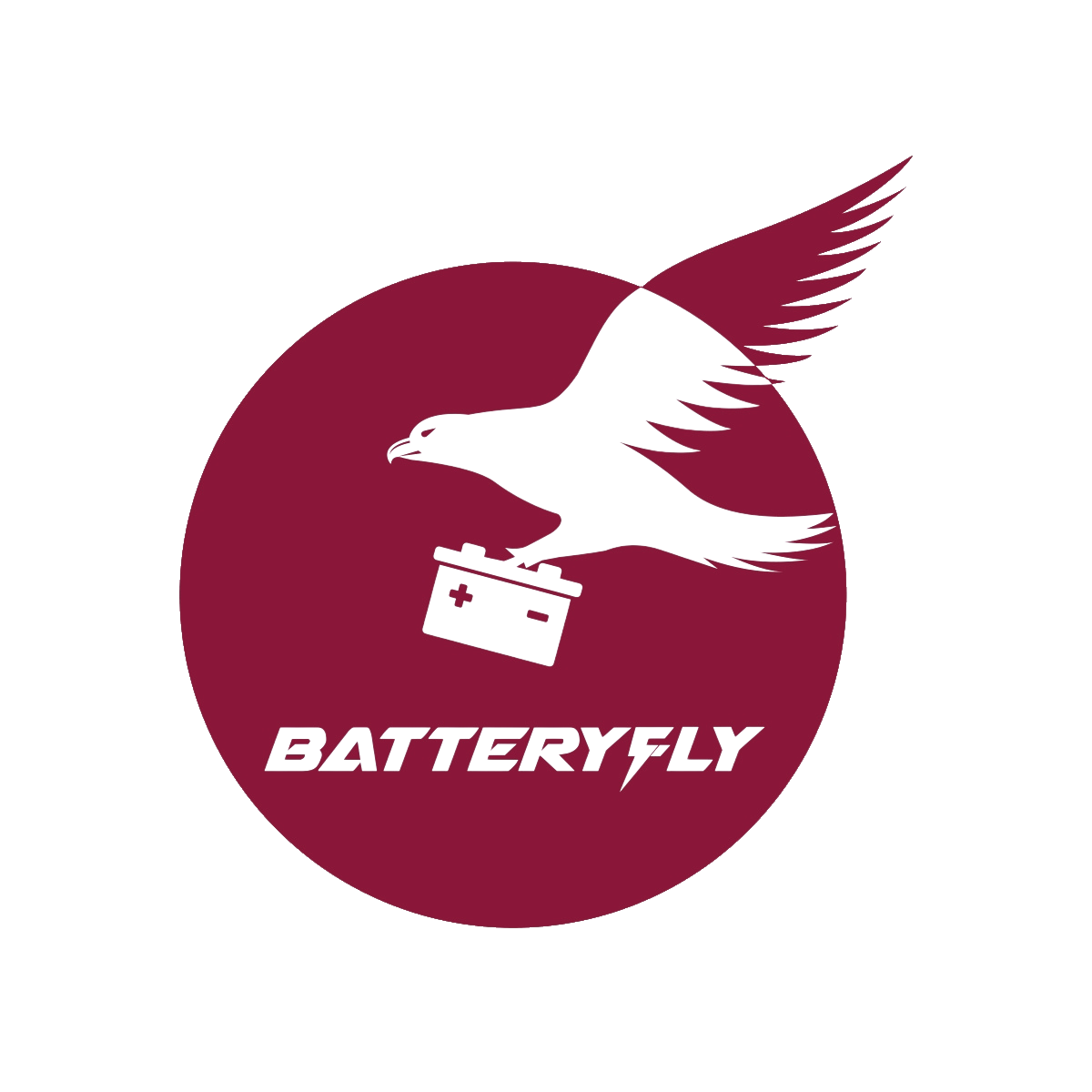 Batteryfly